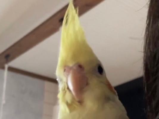 ひろじちゃん ひろじちゃん