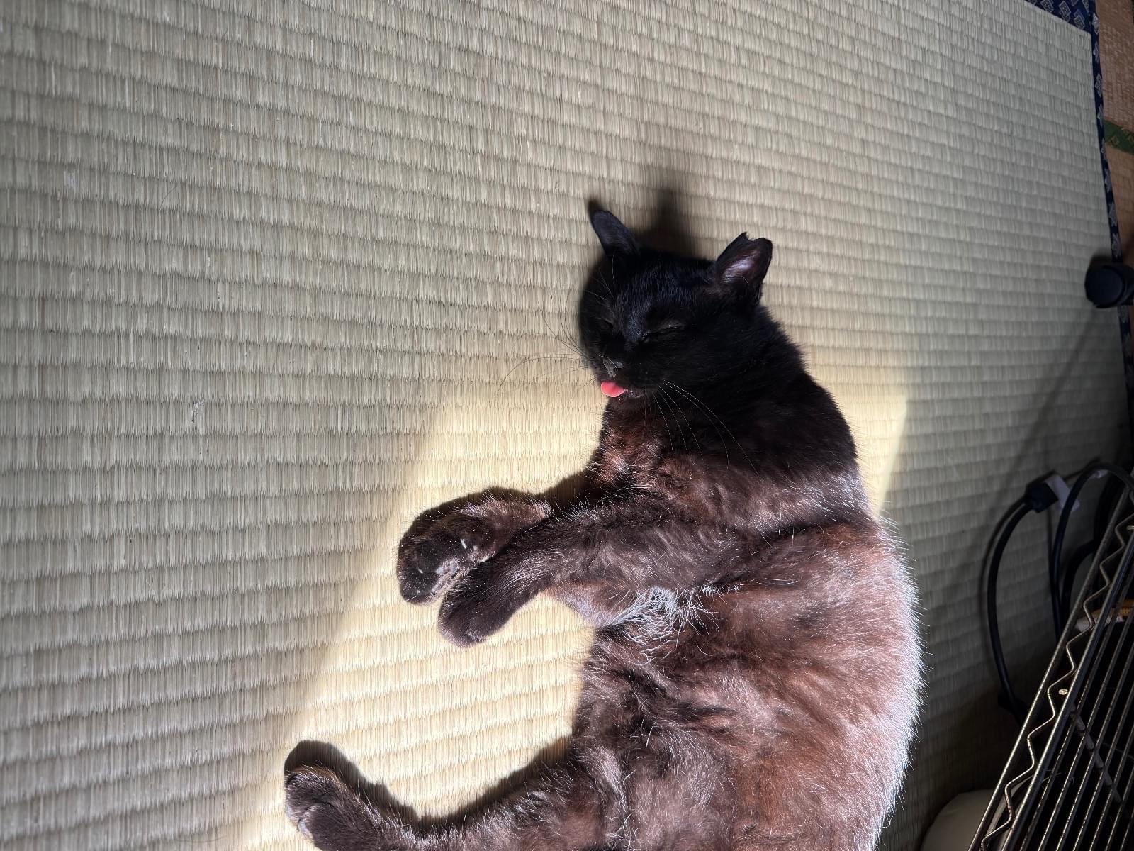 みーちゃん みーちゃん