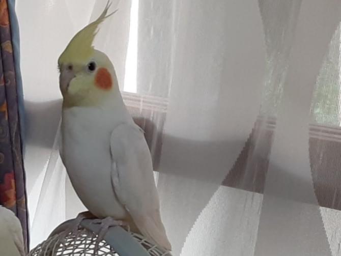 みかんちゃん みかんちゃん