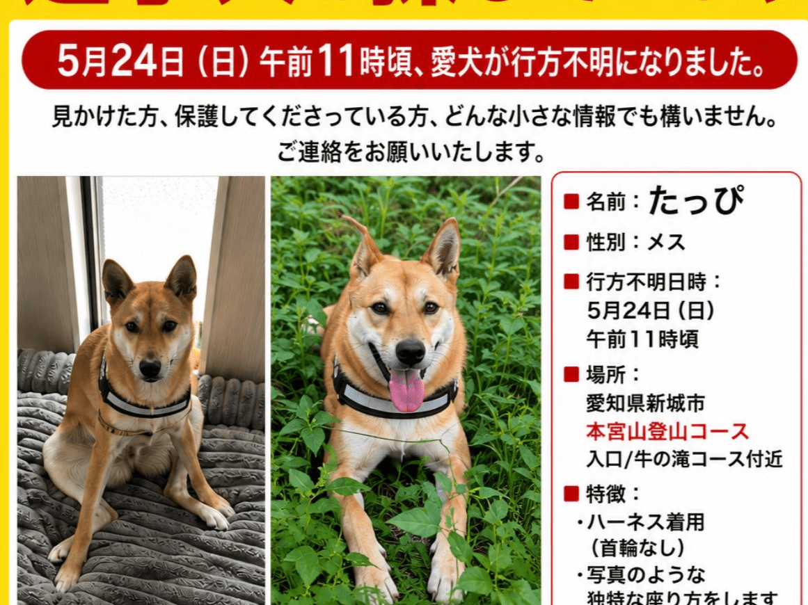 たっぴちゃん たっぴちゃん