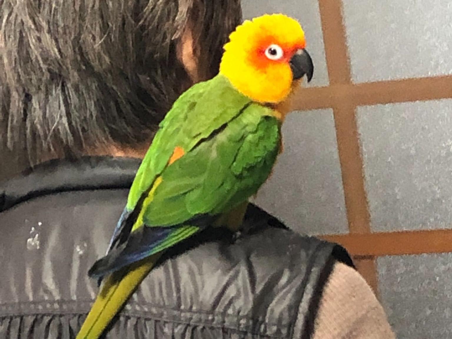 ななちゃん ななちゃん