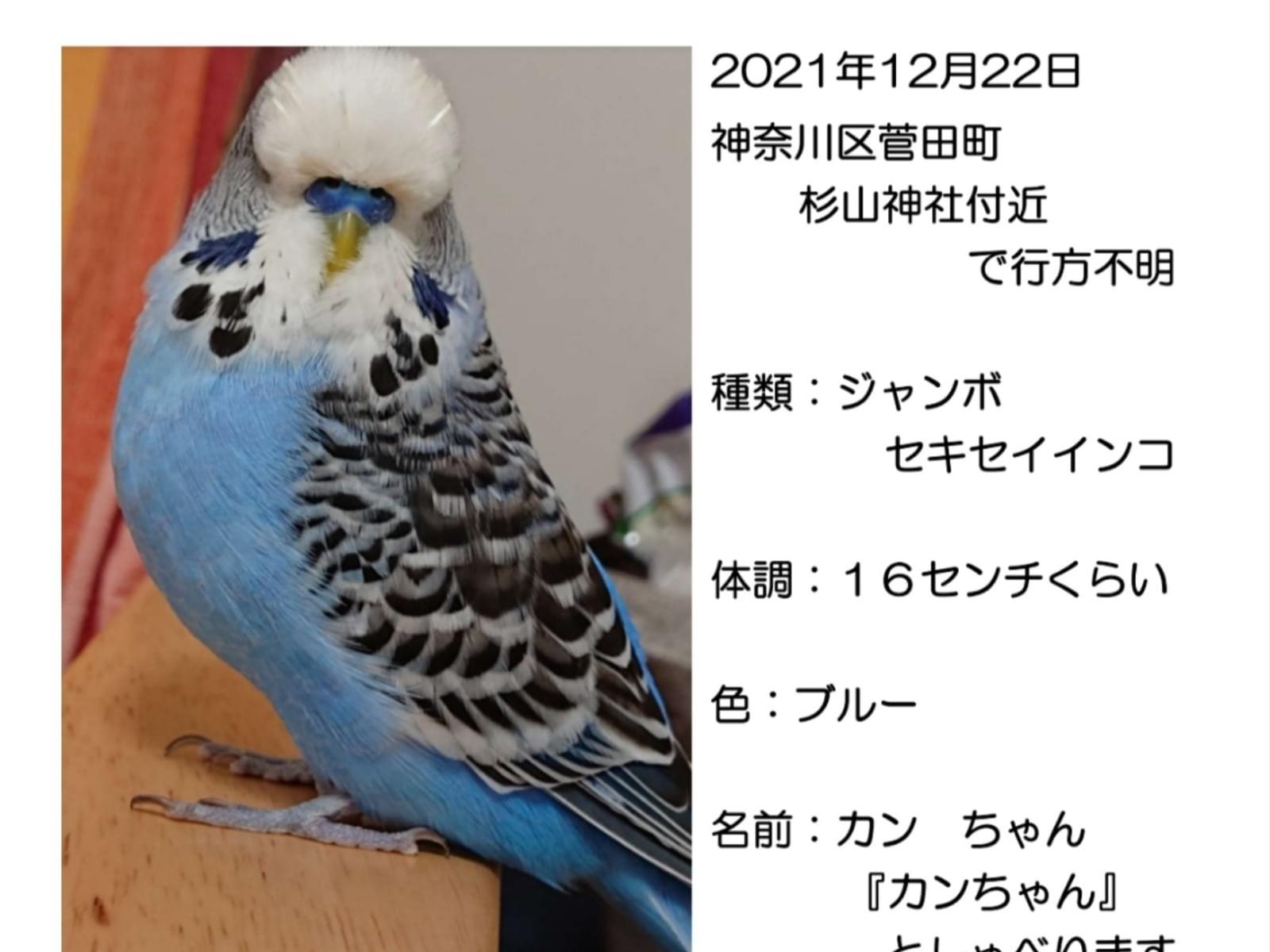 かんちゃん かんちゃん