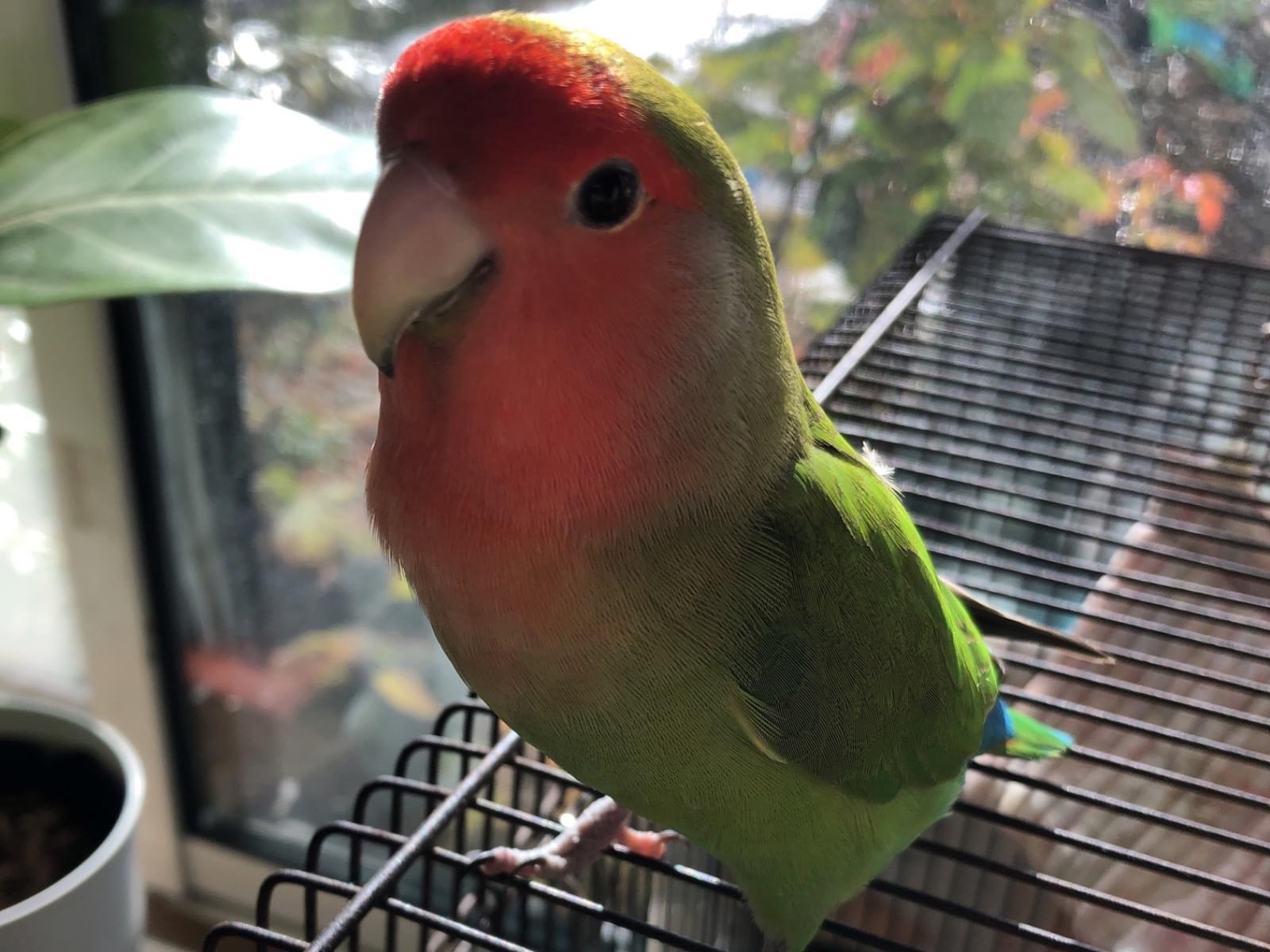 マツちゃん マツちゃん
