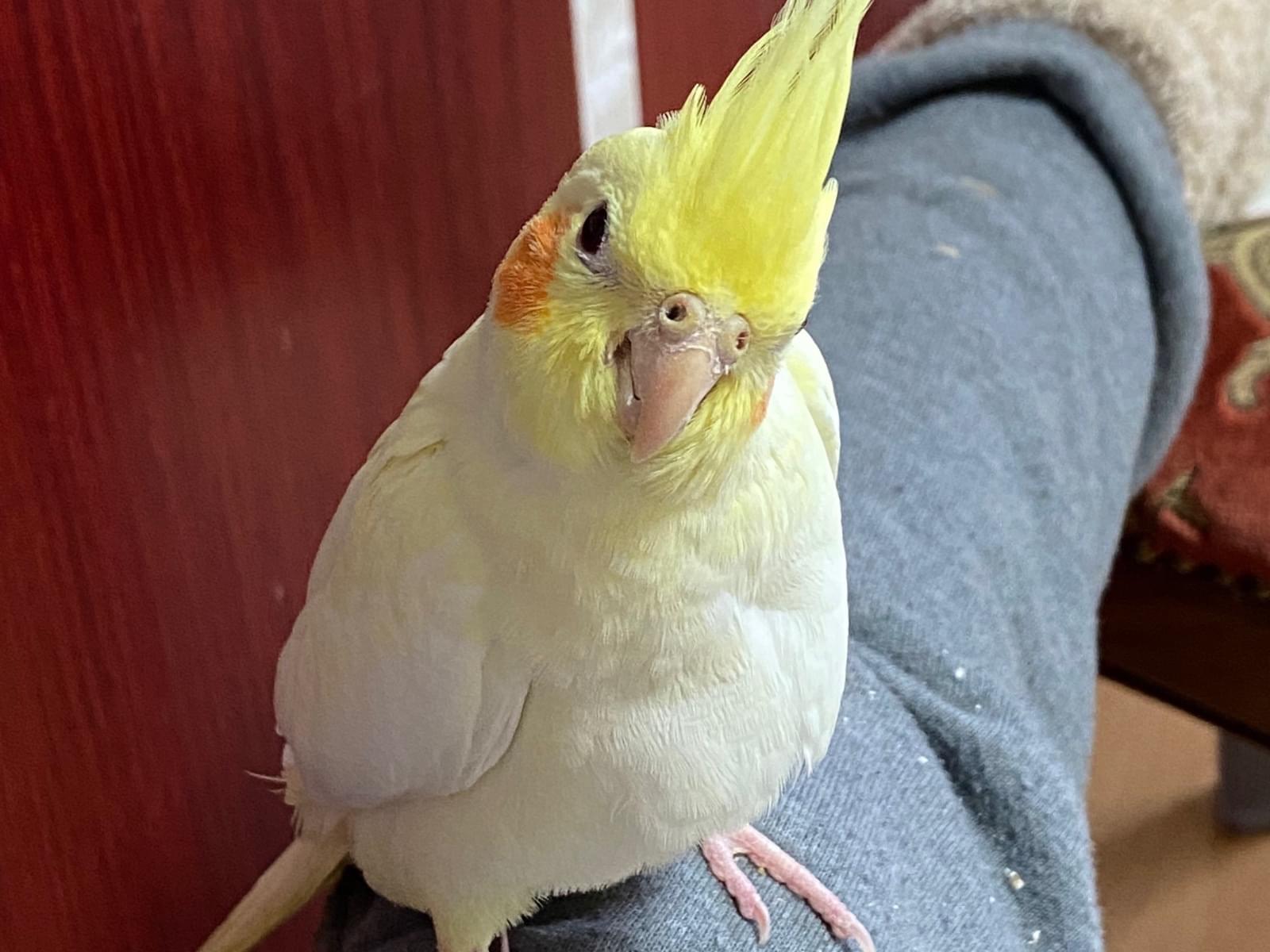 たまちゃん たまちゃん