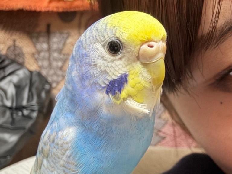 そらちゃん そらちゃん