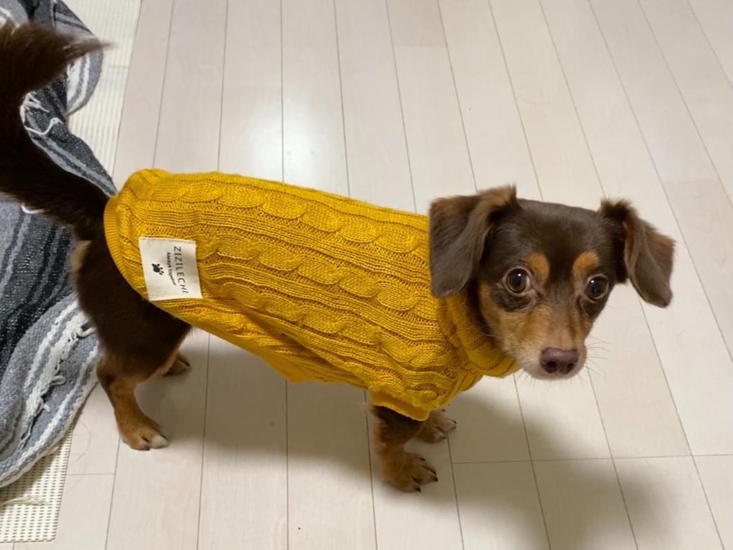 まるちゃん まるちゃん