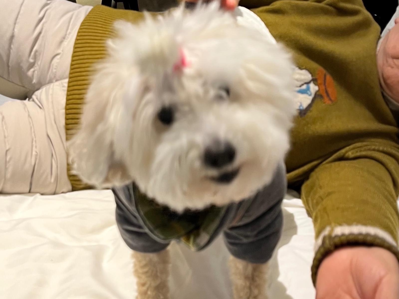 えいとちゃん えいとちゃん
