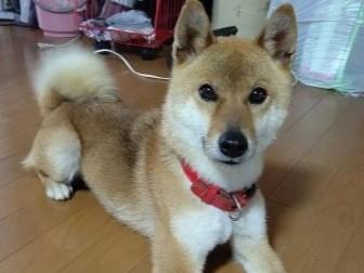 なな