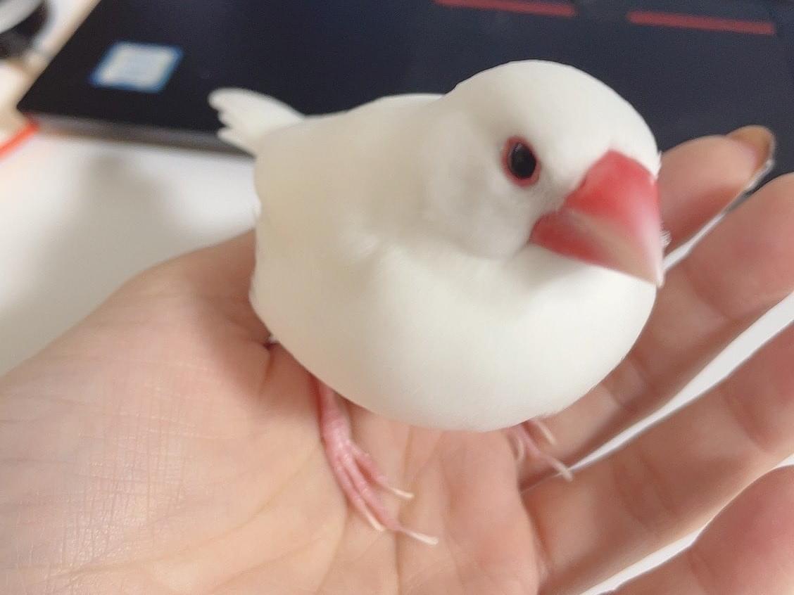 むーちゃん むーちゃん