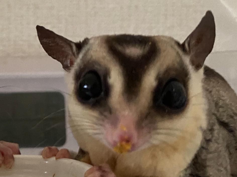 れおとじんちゃん れおとじんちゃん