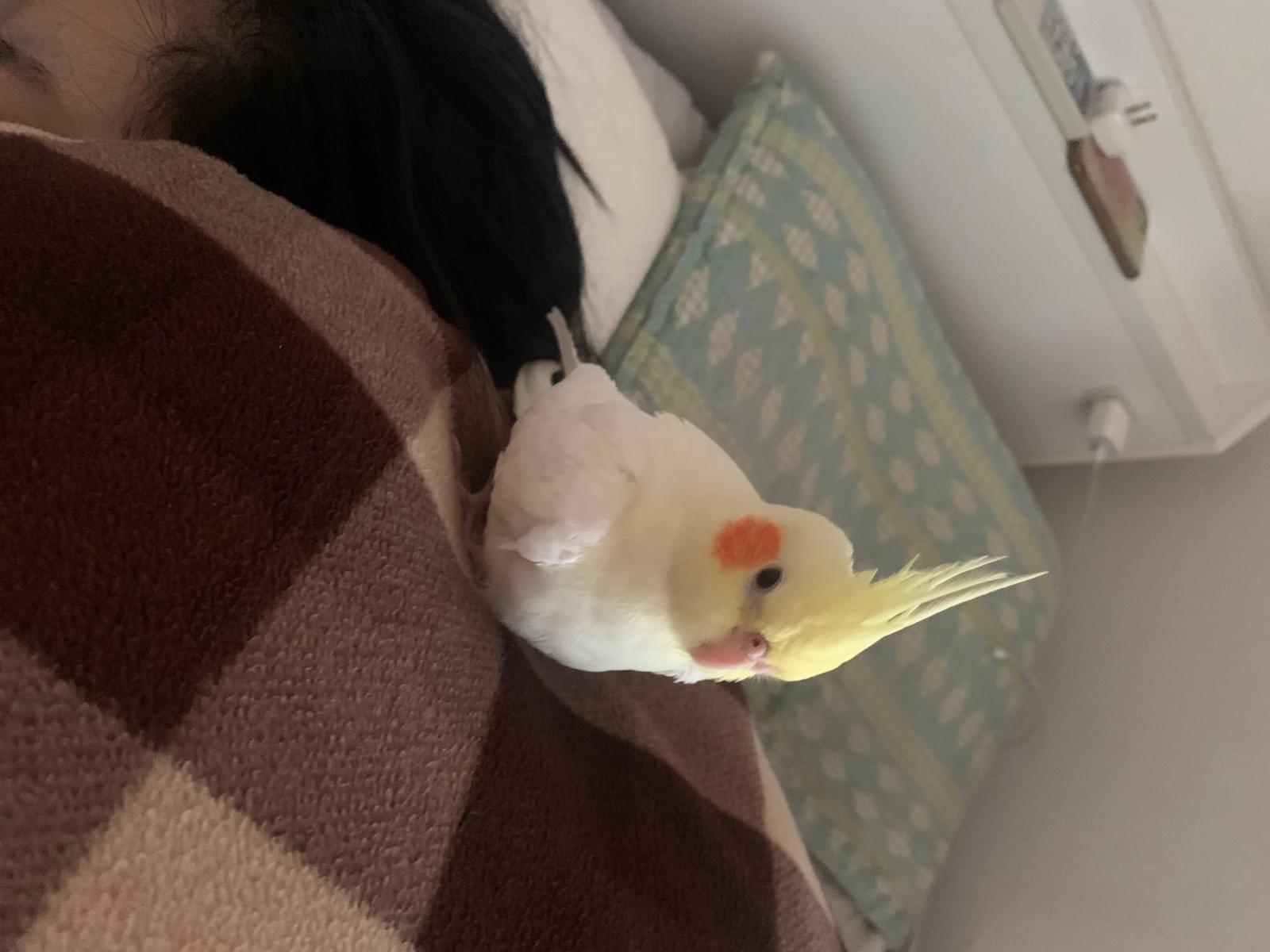 ムーンちゃん ムーンちゃん