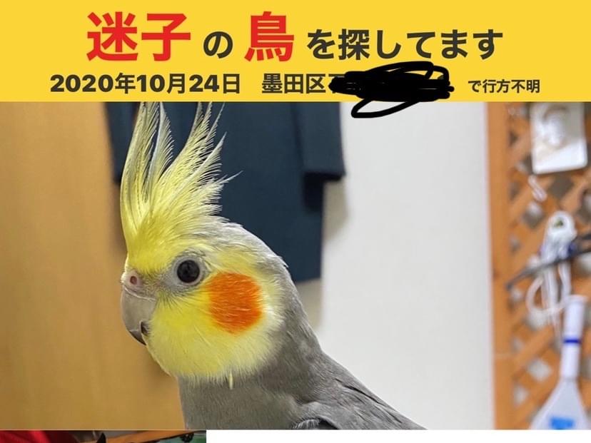 ユメちゃん ユメちゃん