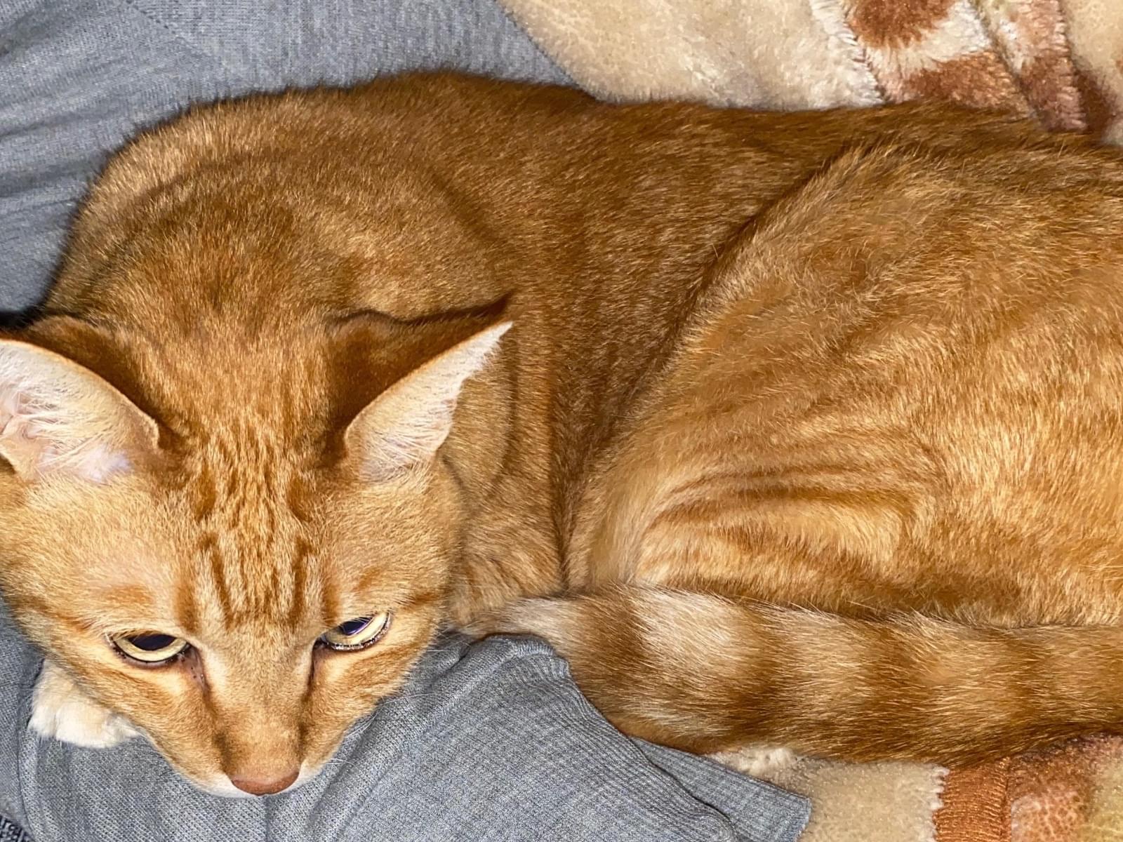 まうじーちゃん