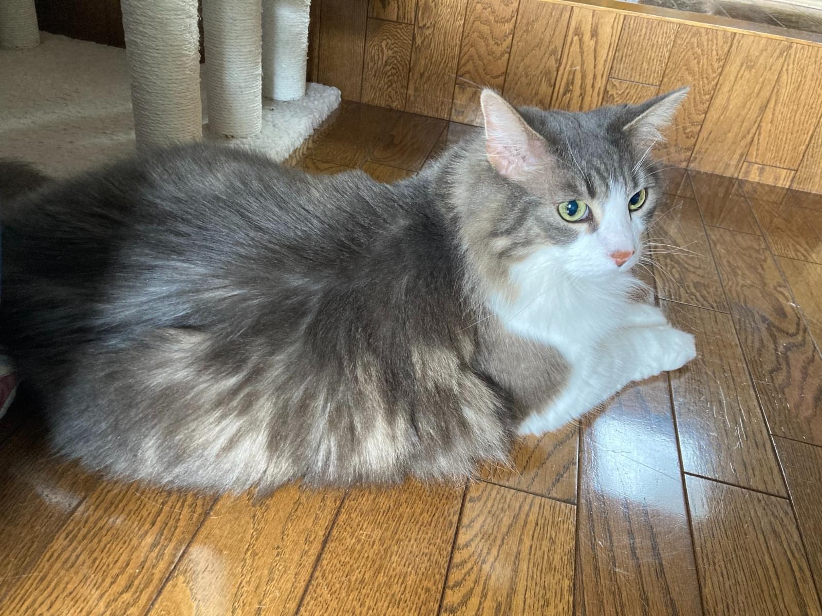 ユウちゃん ユウちゃん