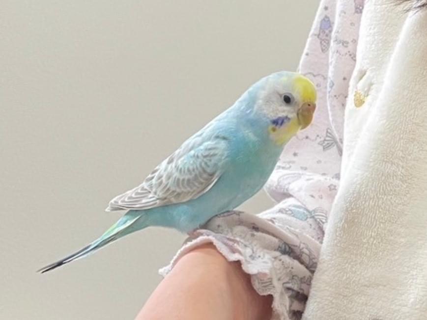 にっちゃん にっちゃん