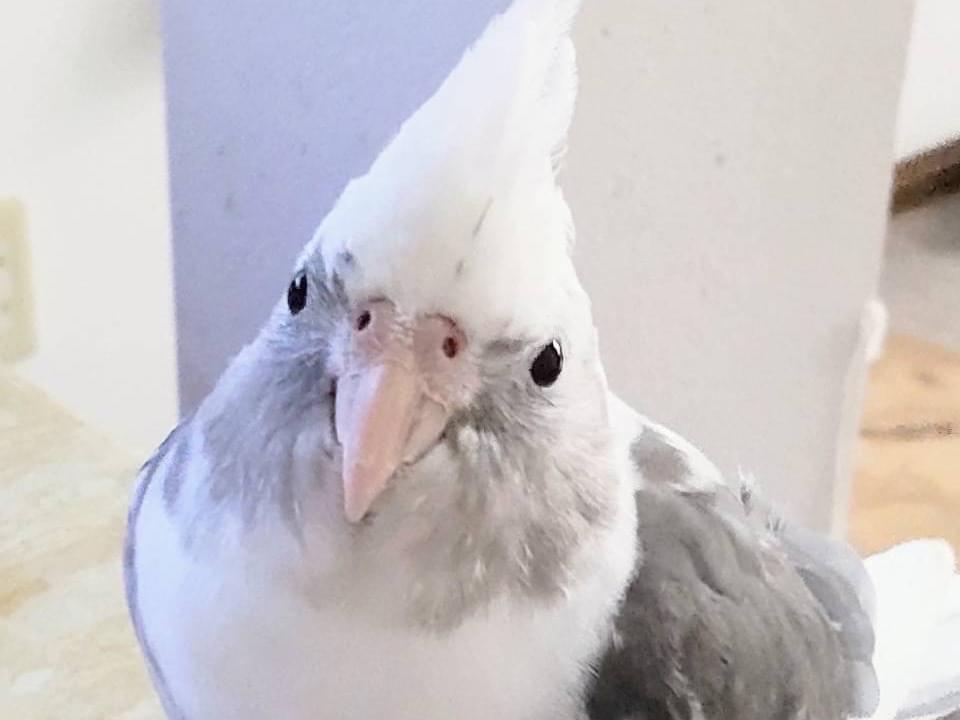 おんちゃん おんちゃん