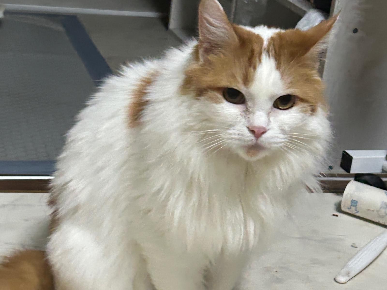 モコちゃん モコちゃん