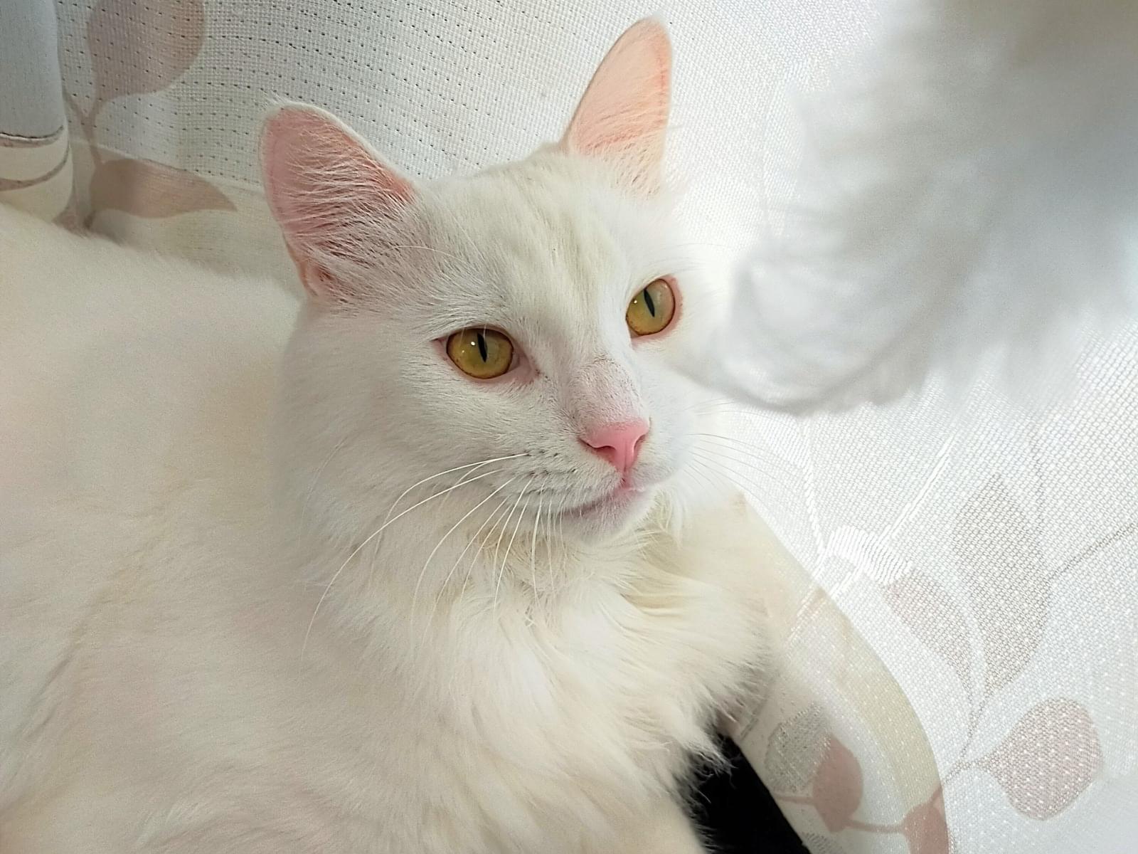 れおちゃん れおちゃん