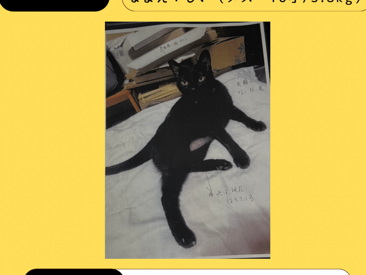 しいちゃん しいちゃん