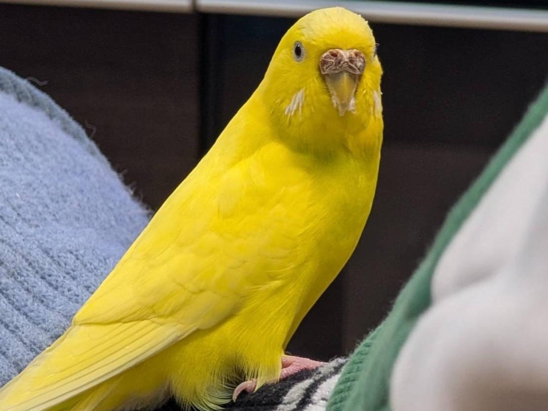 ポタちゃん ポタちゃん