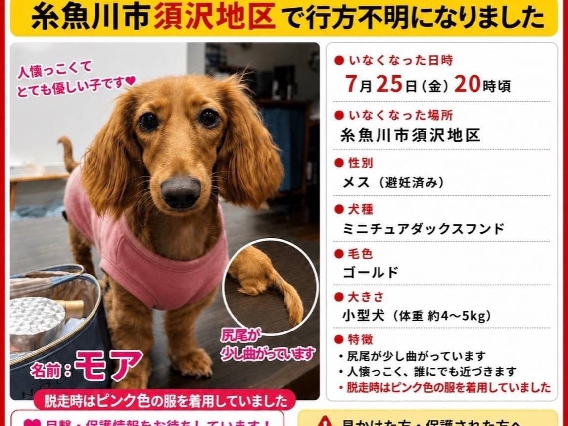 モアちゃん