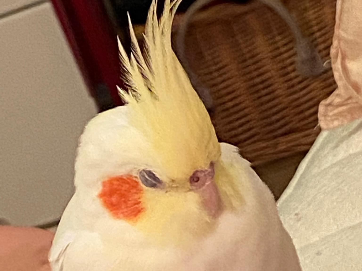 ケンちゃん ケンちゃん