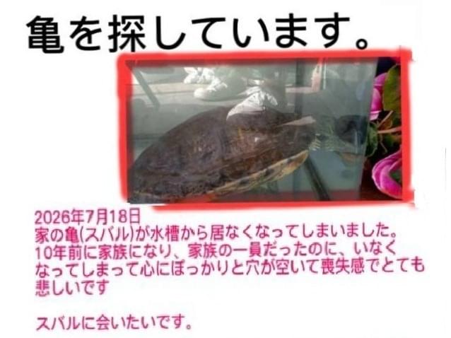 スバルちゃん スバルちゃん