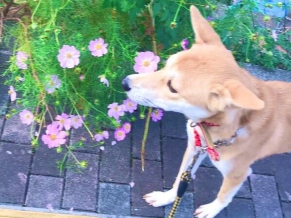 雪穂ちゃん 雪穂ちゃん