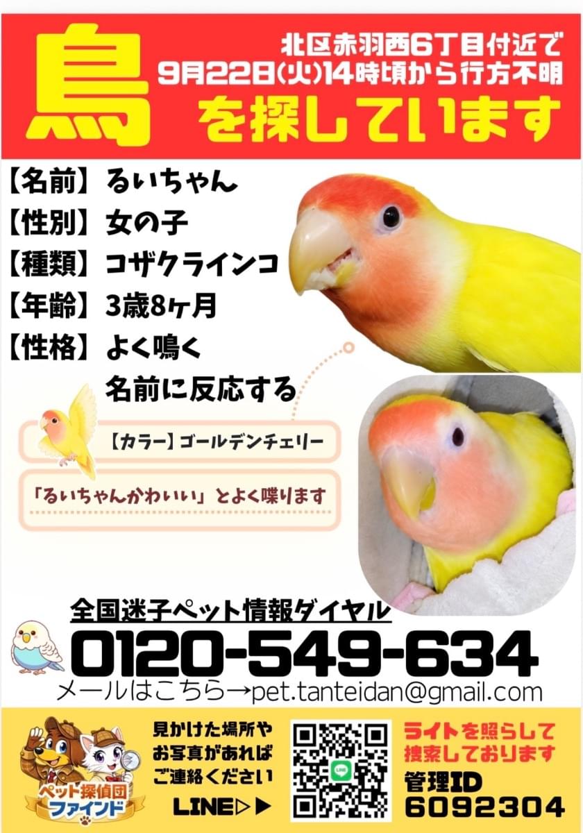 インコを探しています。
