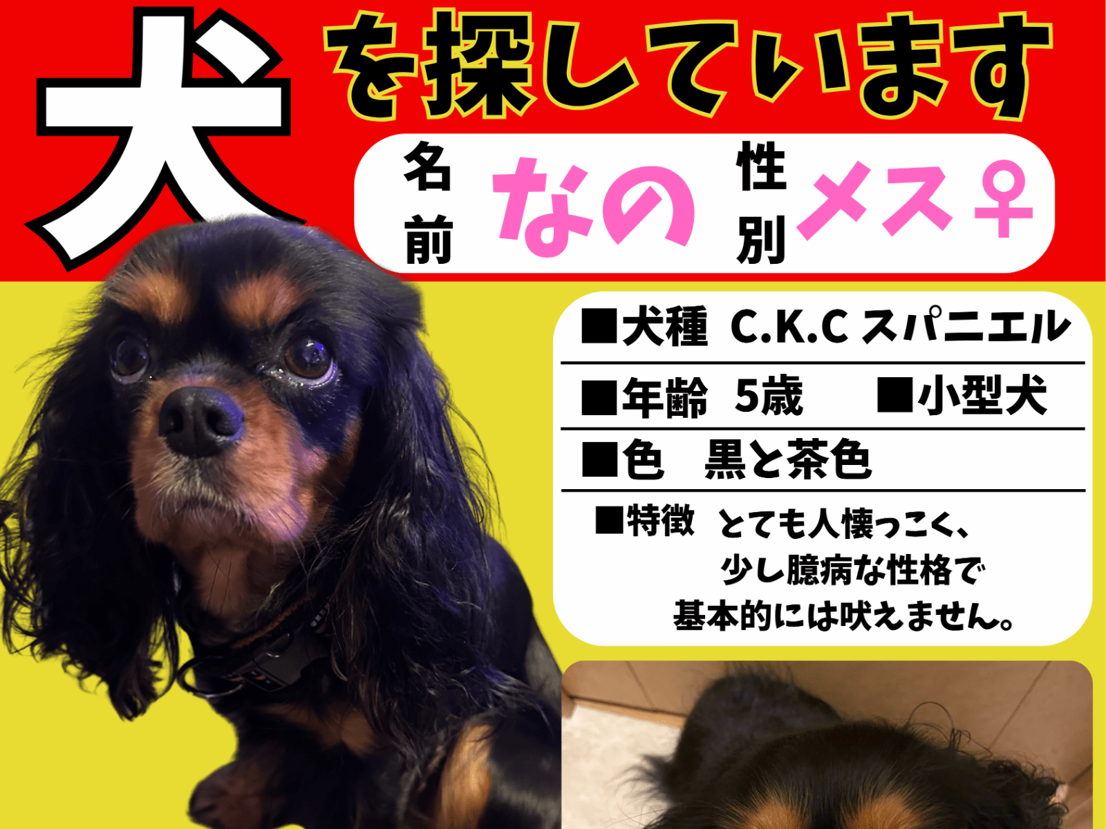 なのちゃん なのちゃん