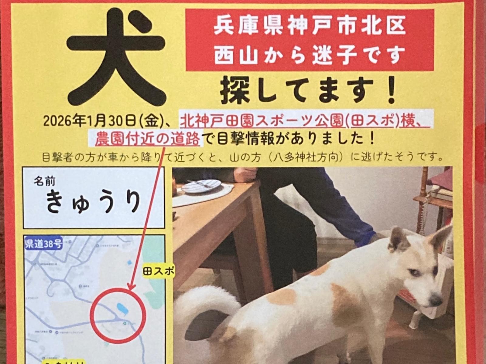 きゅうりちゃん