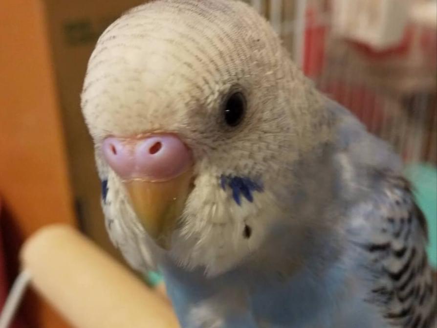 りーちゃん りーちゃん