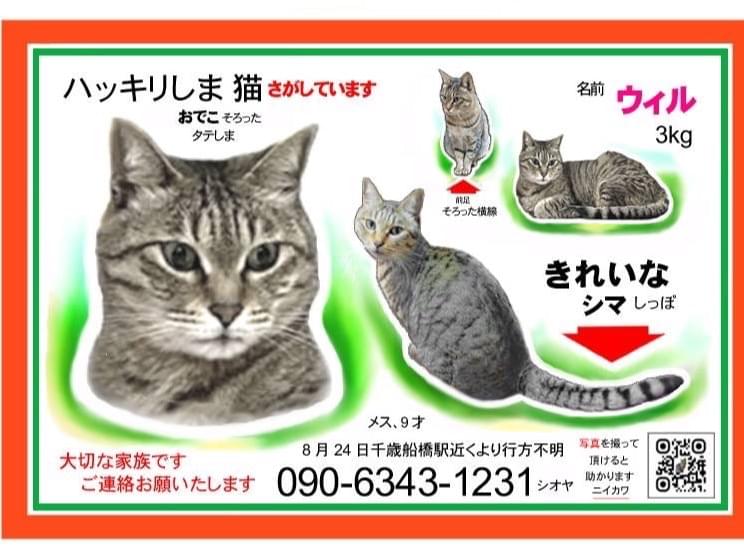 ウィルちゃん ウィルちゃん