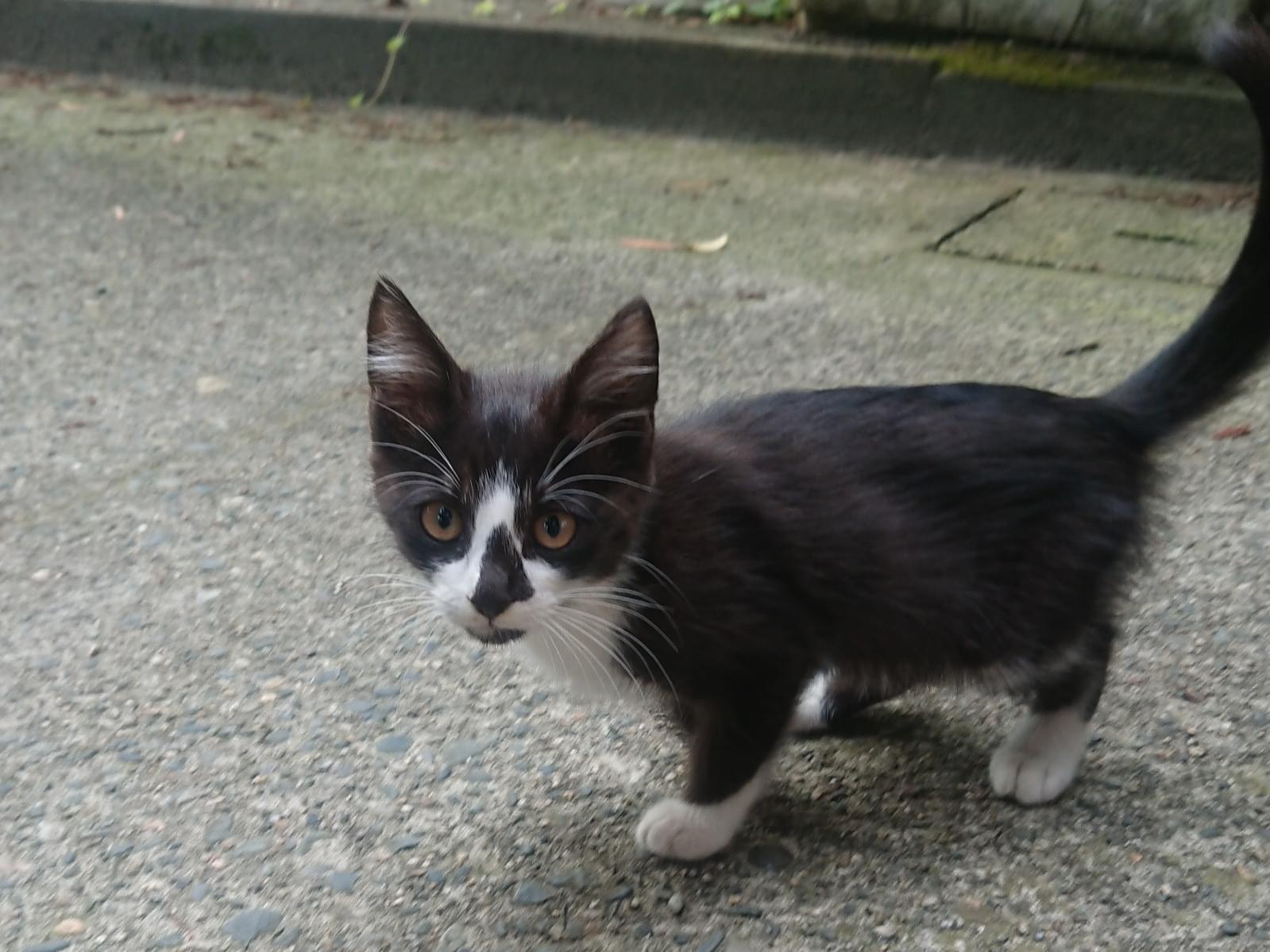 パンナちゃん パンナちゃん
