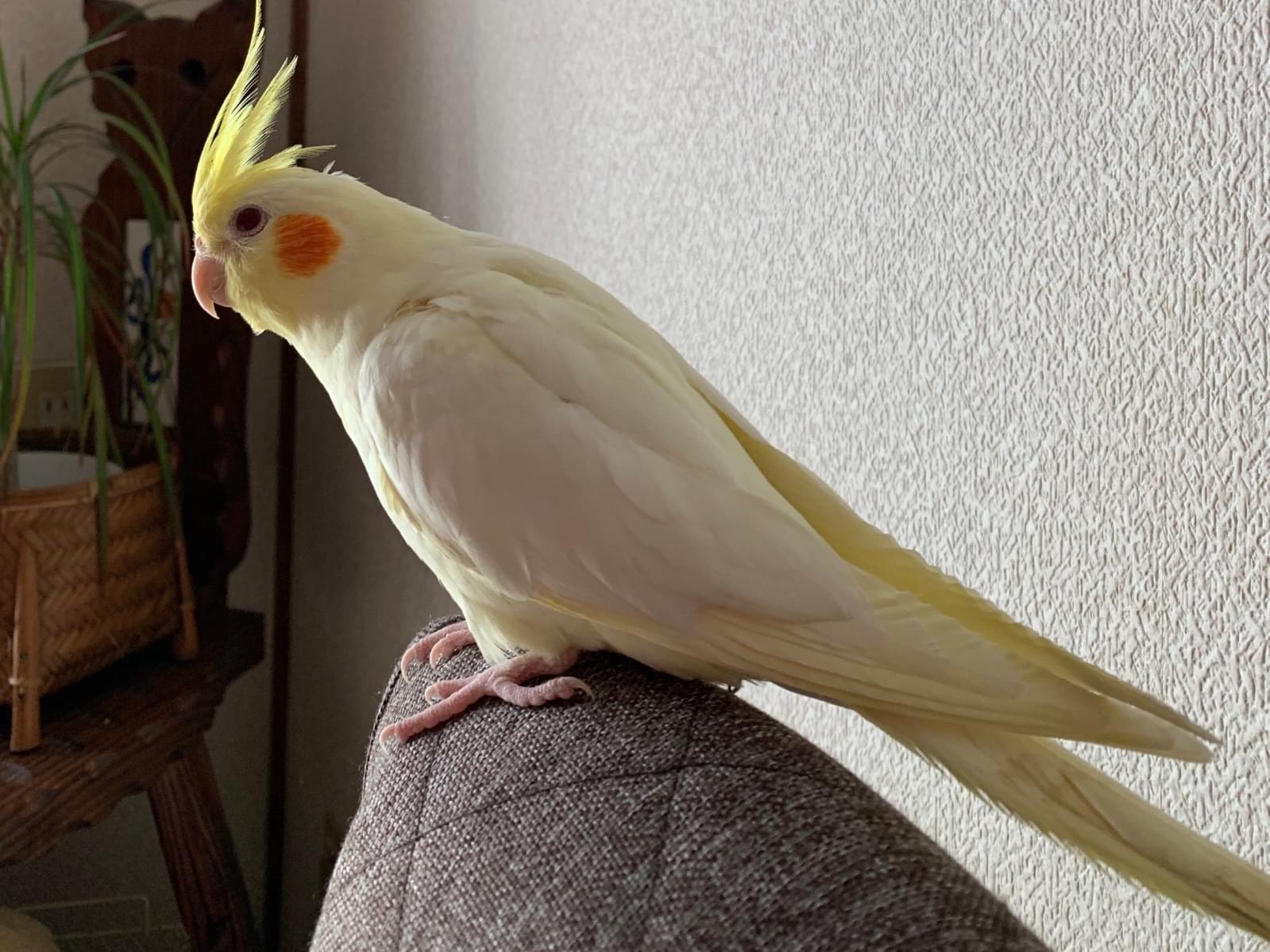 まりんちゃん まりんちゃん