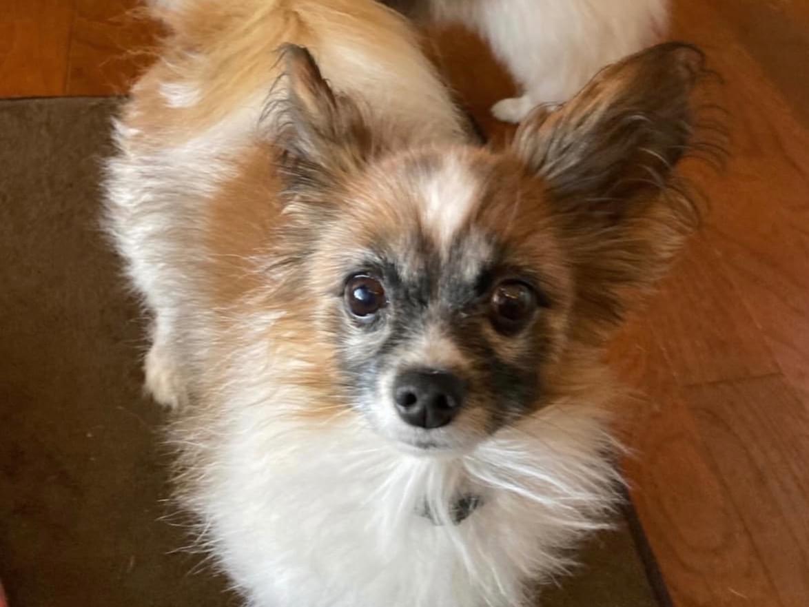 ソラちゃん ソラちゃん