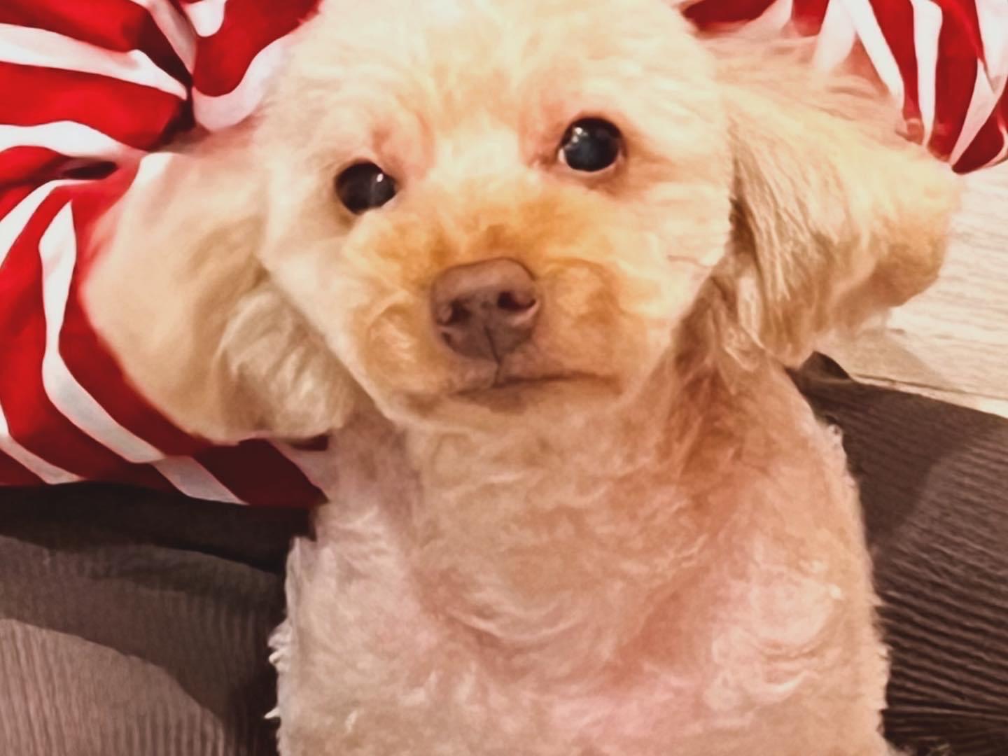 はいじちゃん はいじちゃん