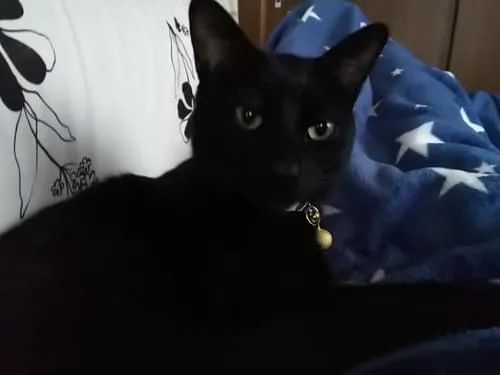 L4bpqvrbnyi Im L4bpqvrbnyi Im