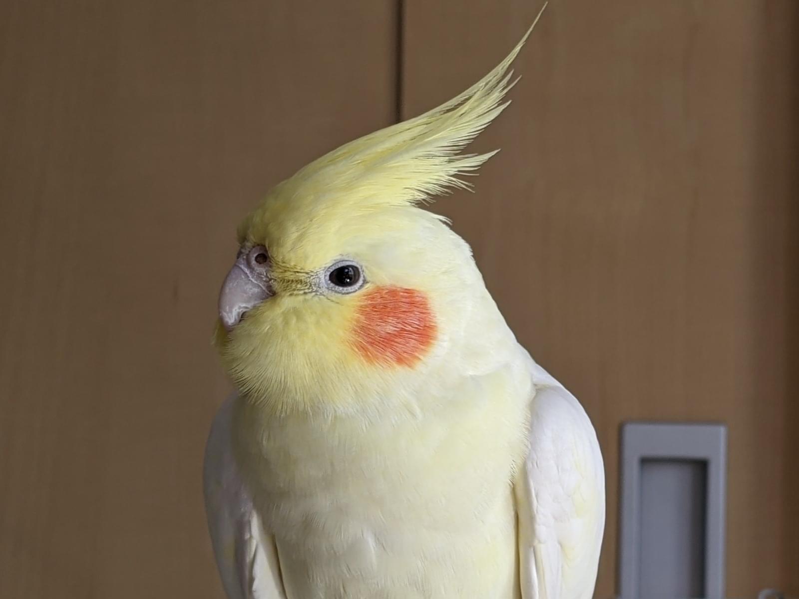 うめちゃん うめちゃん