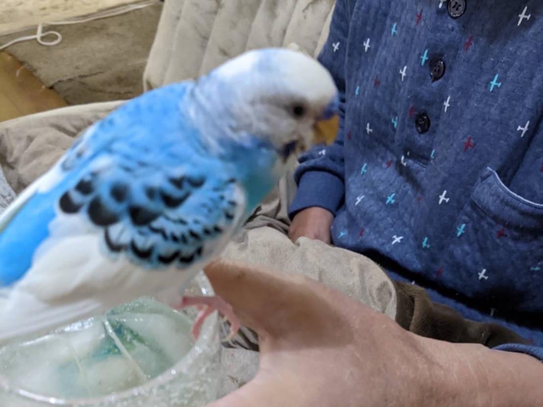 ケロちゃん ケロちゃん