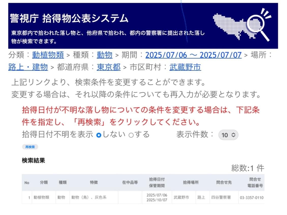保護された鳥 保護された鳥