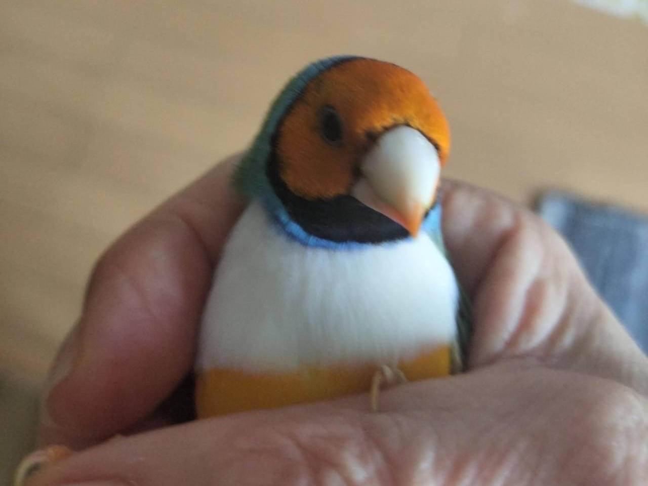 色ちゃん 色ちゃん