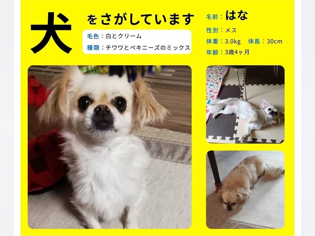 はなちゃん はなちゃん