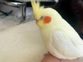 テンちゃん テンちゃん