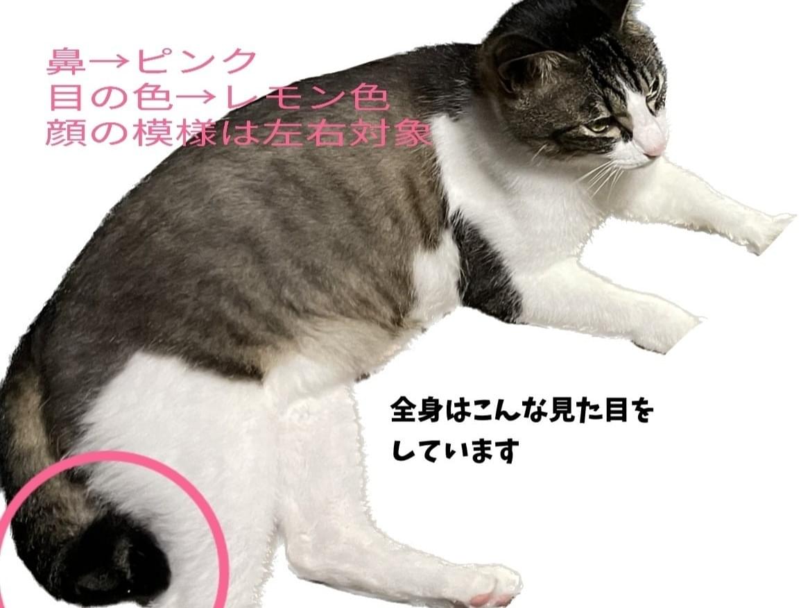 べべちゃん べべちゃん