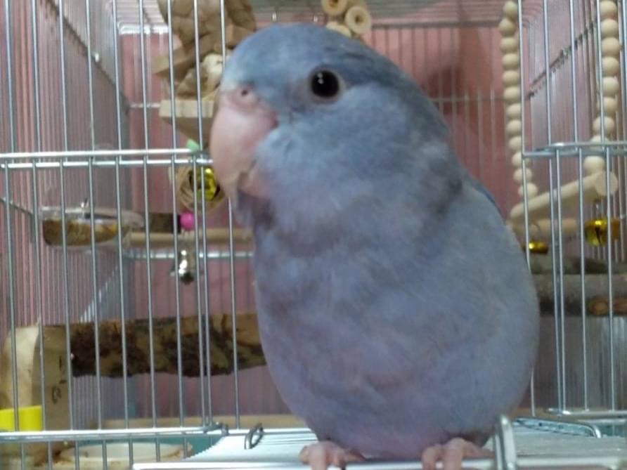 グクちゃん グクちゃん