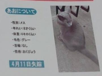 あおちゃん あおちゃん