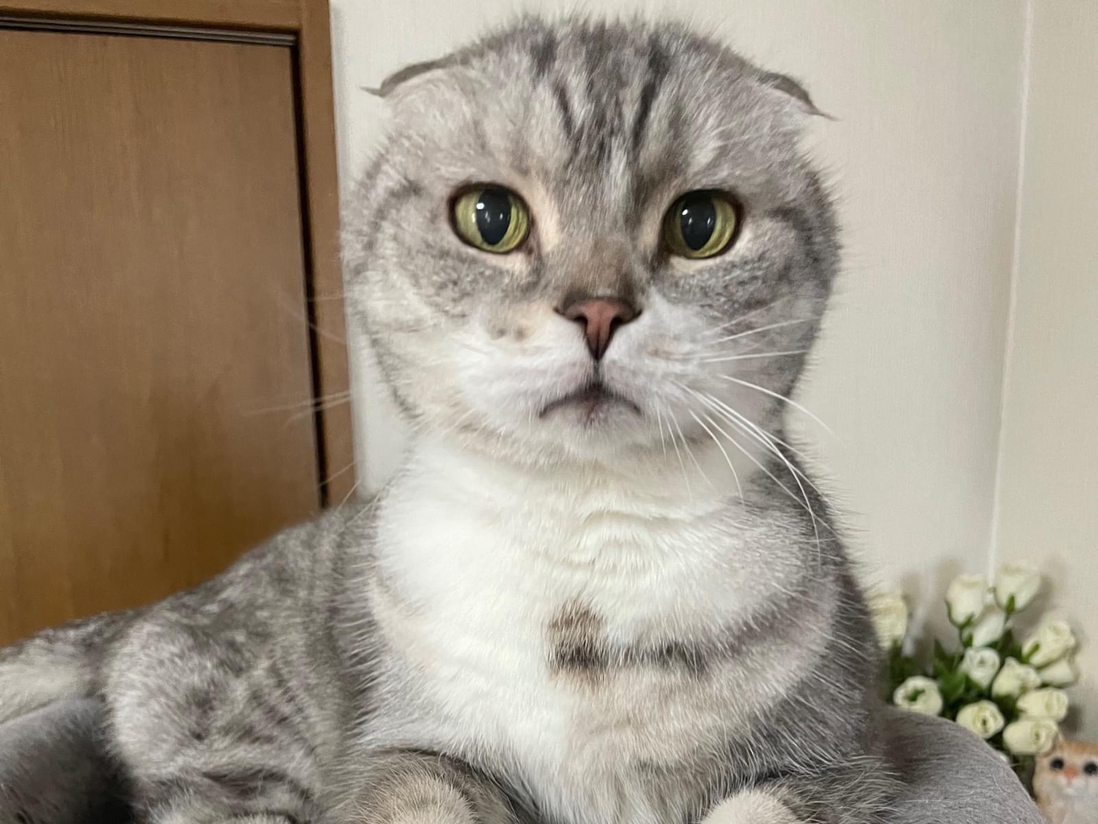 まもちゃん まもちゃん