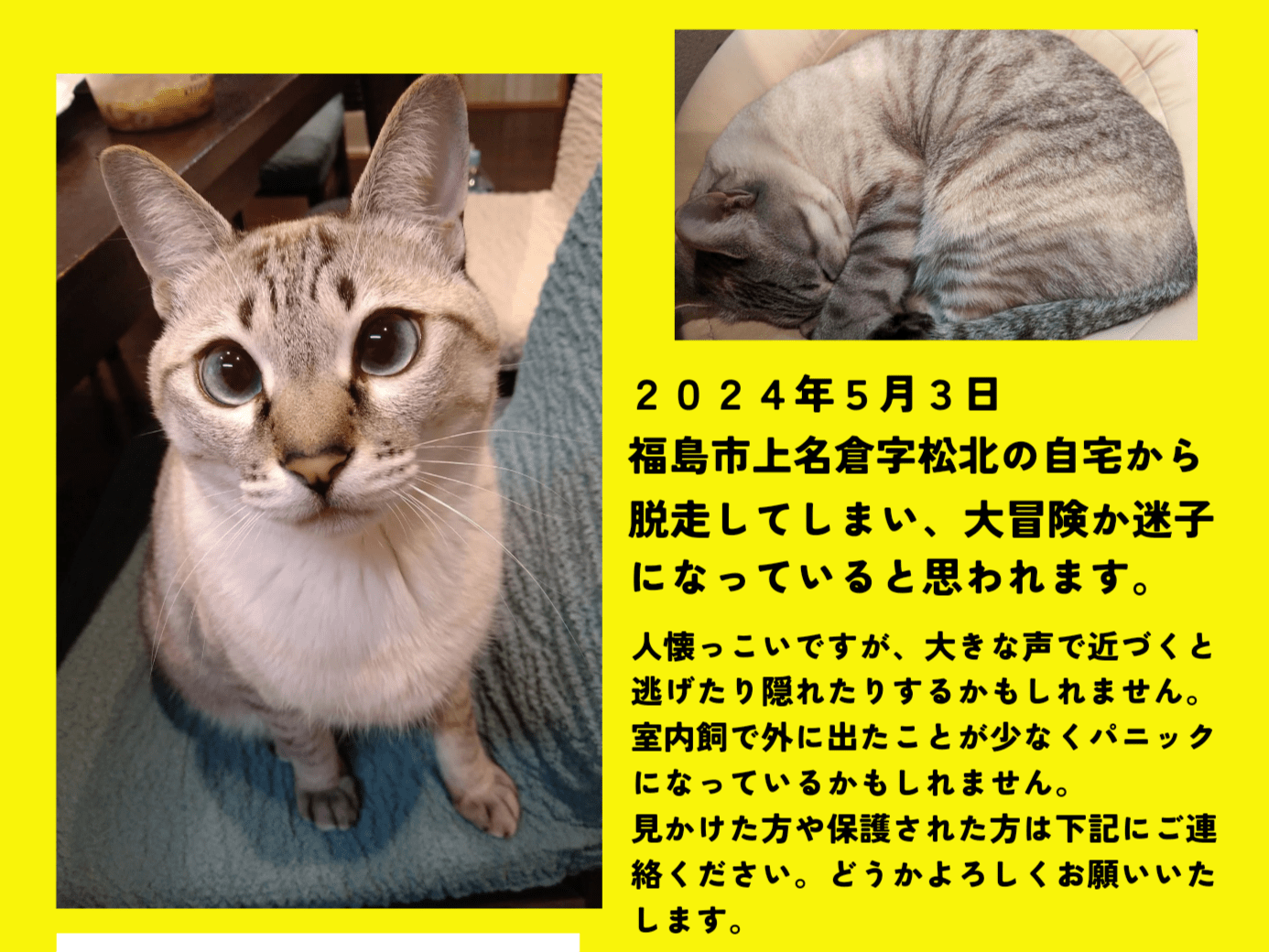 ジルちゃん ジルちゃん