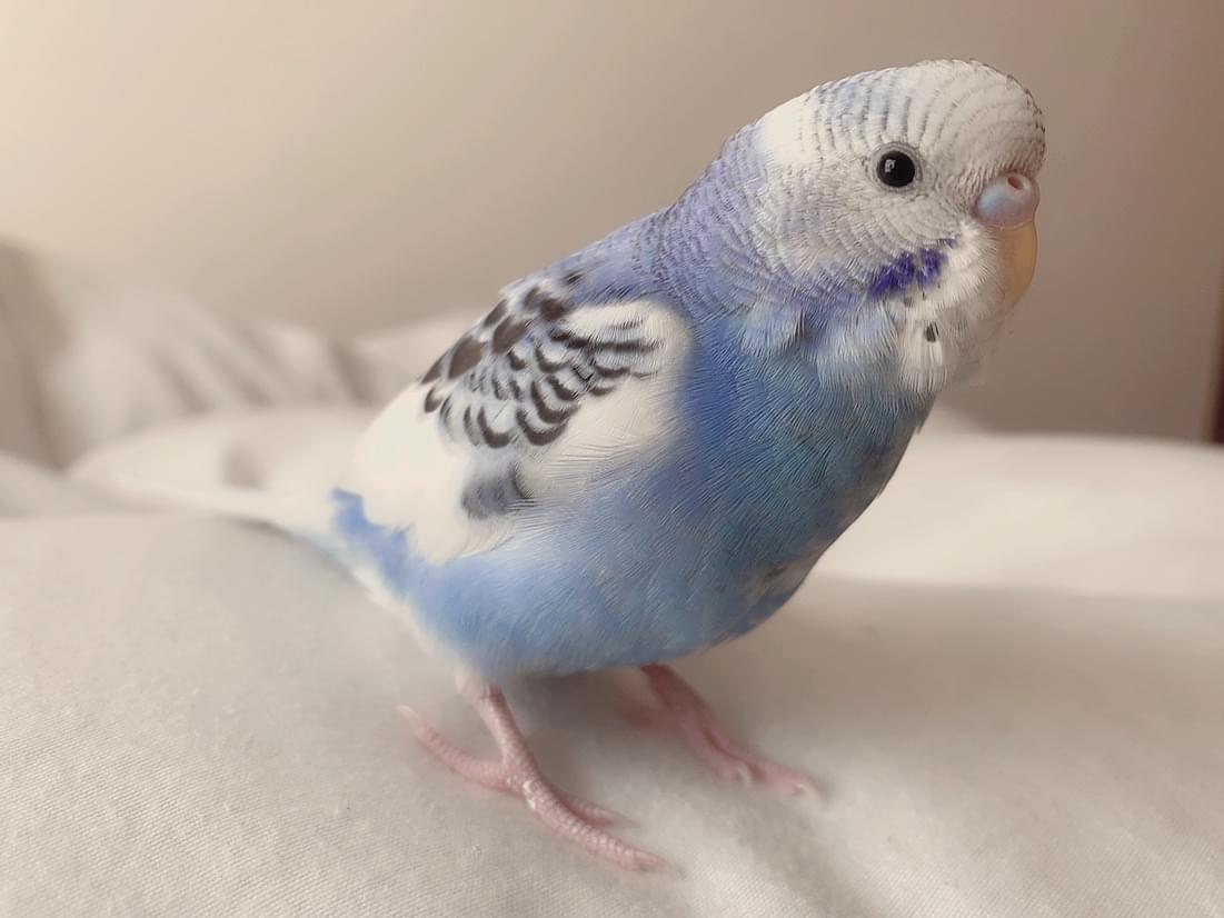 なっちゃん なっちゃん